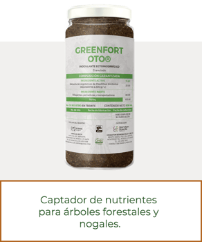 oto-prod2